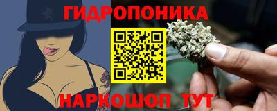 крисы Кимры